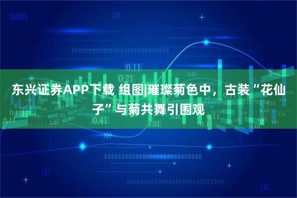 东兴证券APP下载 组图|璀璨菊色中，古装“花仙子”与菊共舞引围观