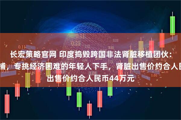 长宏策略官网 印度捣毁跨国非法肾脏移植团伙：5名医生被捕，专挑经济困难的年轻人下手，肾脏出售价约合人民币44万元