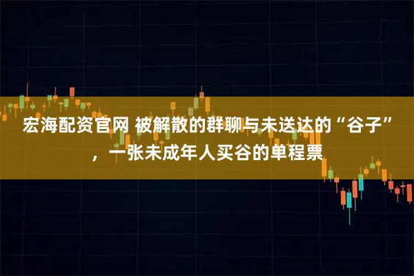 宏海配资官网 被解散的群聊与未送达的“谷子”，一张未成年人买谷的单程票