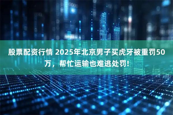 股票配资行情 2025年北京男子买虎牙被重罚50万，帮忙运输也难逃处罚!