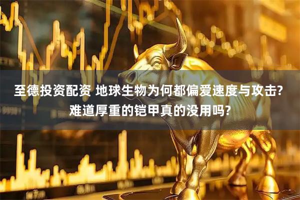 至德投资配资 地球生物为何都偏爱速度与攻击? 难道厚重的铠甲真的没用吗?